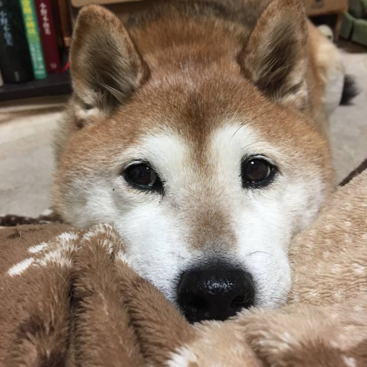 F491f991 9da6 4847 8ab6 76f190ae1585 1547028932570