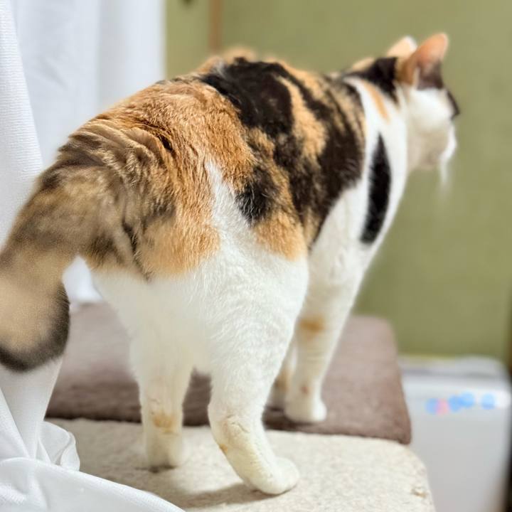 F491fe78 33e0 45c0 9640 5111a663e9b4 1737344686429