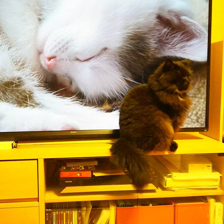 F4923207 fda8 49f5 a374 2a4f870ac150 1535204511701