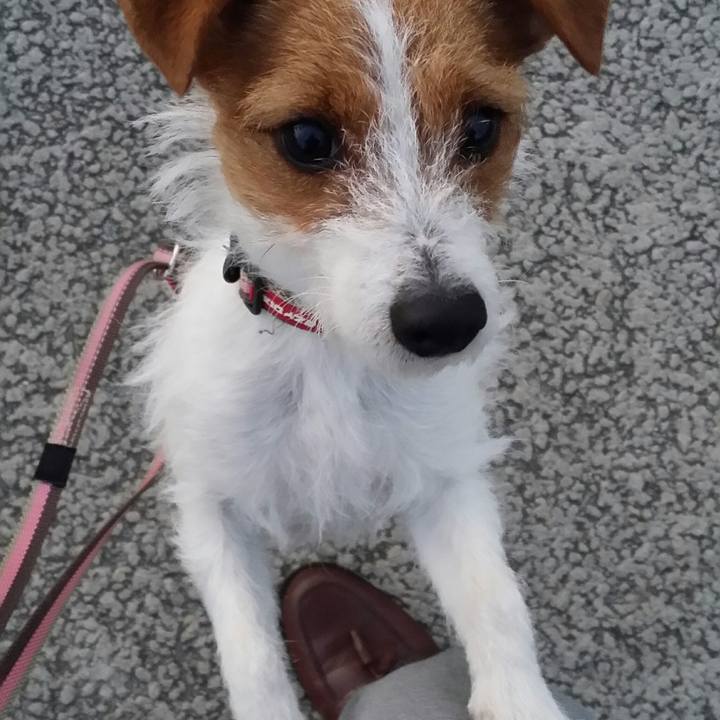 F4924799 874a 4f74 8983 81530d2163eb 1512692516347