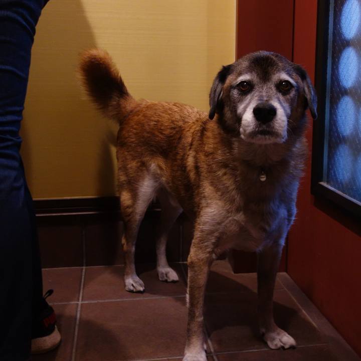 F4925678 9cde 4db4 9b00 b54b58a5c544 1575110159755