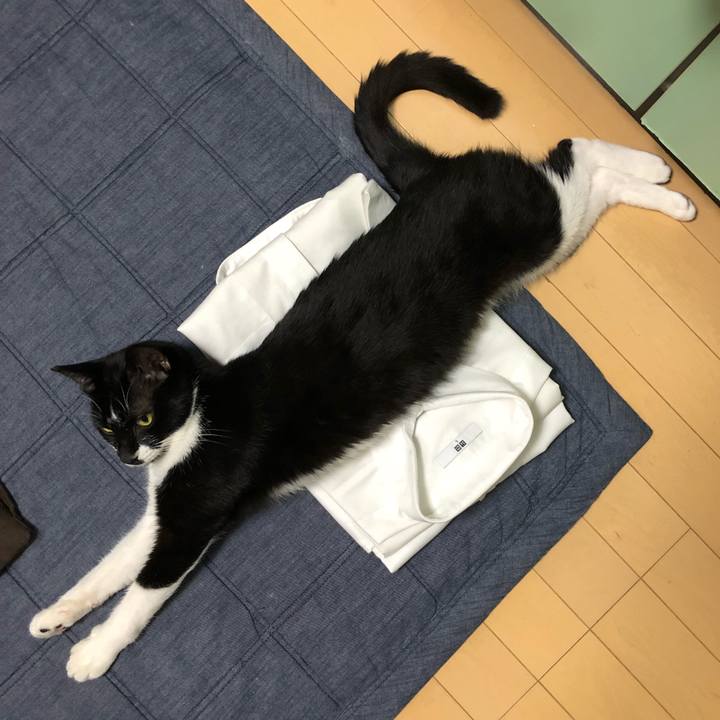 F4925bde bbb7 459e abf9 d96d65e9b946 1537464688751