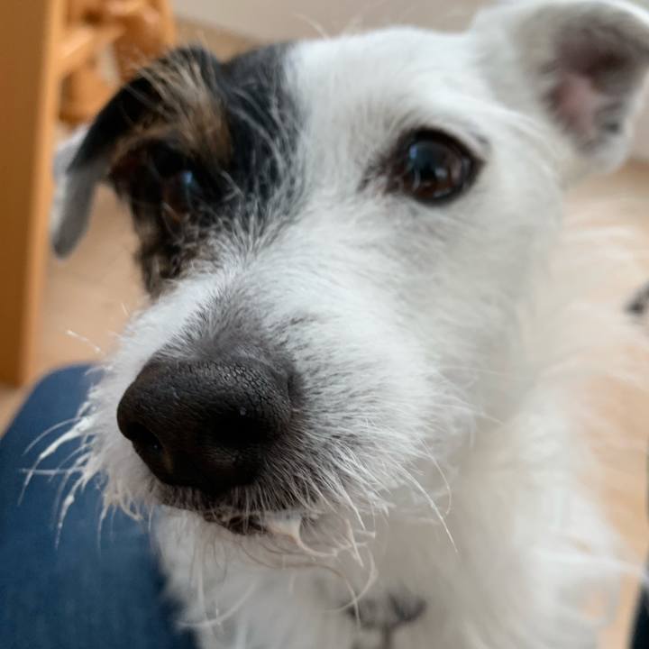 F4926bf4 228f 4c2d a4aa fa79d8be6eae 1614381997653