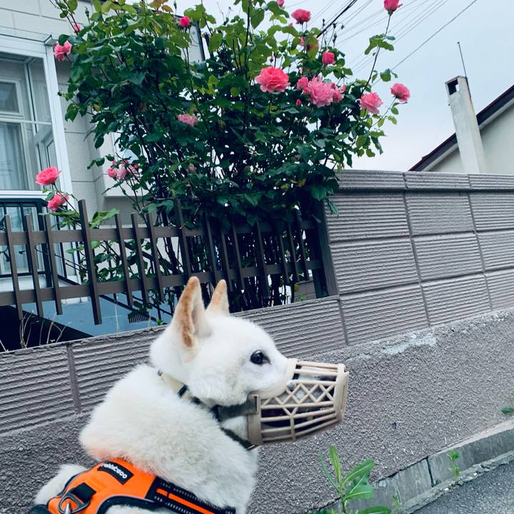 F49289d6 9666 4400 a137 7fa7c16ba4df 1626208414488