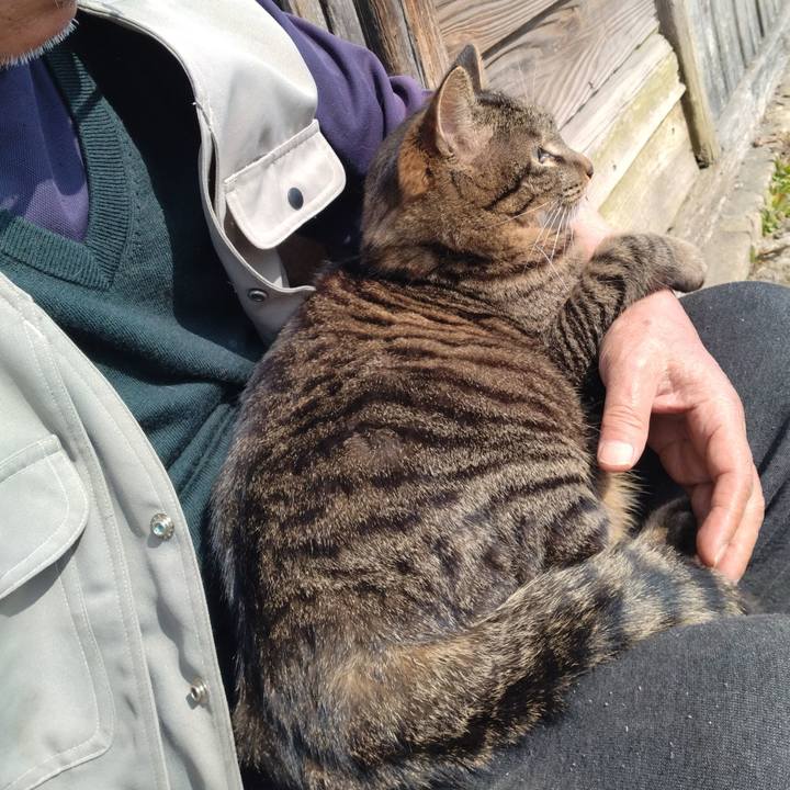 F492c042 cb4b 4237 b9b8 4beb699c1bd9 1678331271490