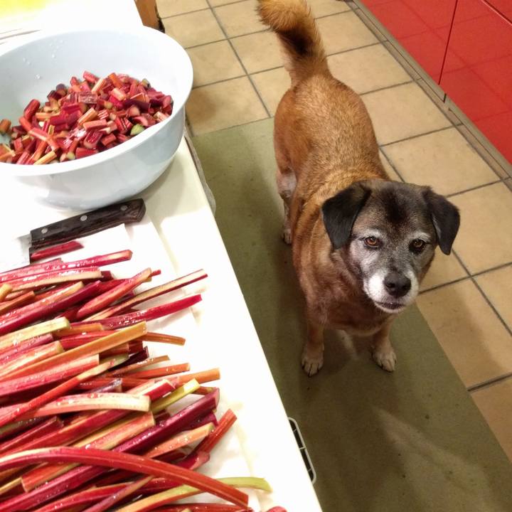 F492c6c0 134b 4208 b45c 51c64a465da0 1730884021058