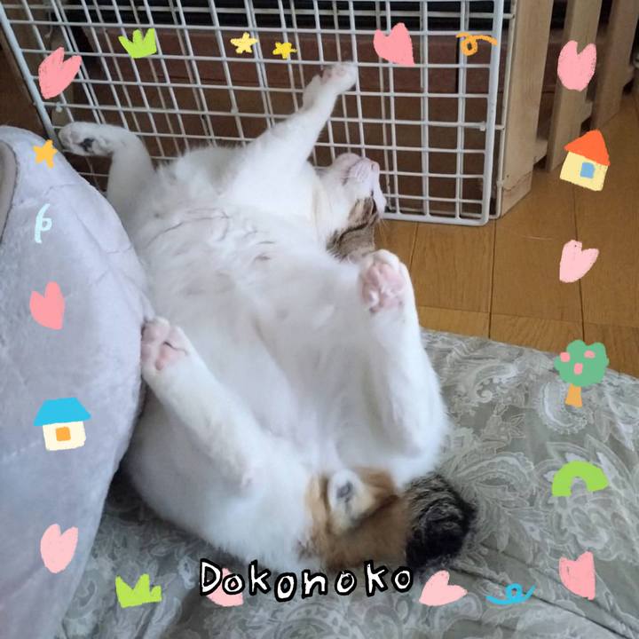 F492dd42 0a66 4f3b a1f5 68c839b86028 1741344367887