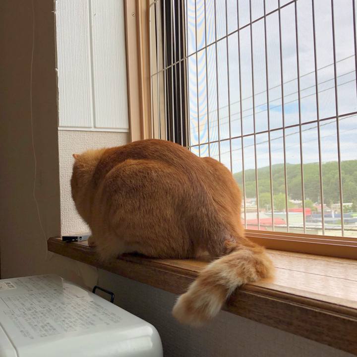 F492f8b8 2b08 46e8 8814 afd2de68f3a5 1563057640588