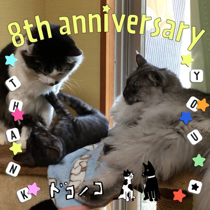 F492f981 be6d 4ee8 a4f8 1a7106c71d2c 1718131376884