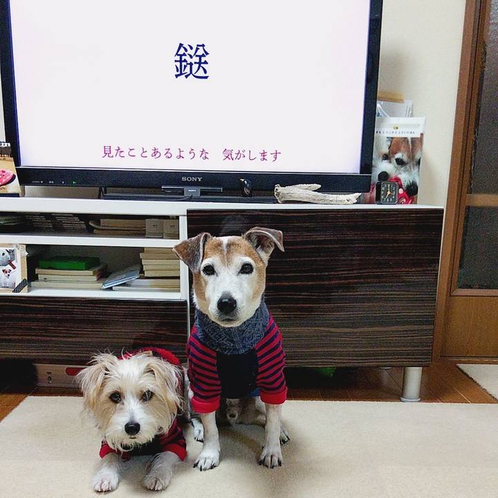 F4930ab6 1c9b 426d a9d8 3f46935798e9 1580943304992