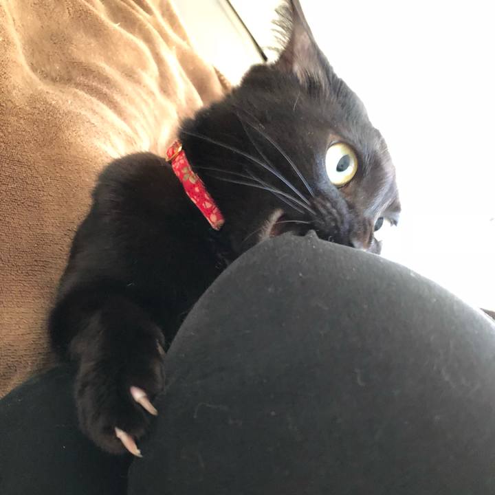 F493441e e080 4d66 8b3e 56ad8db55848 1517267856720