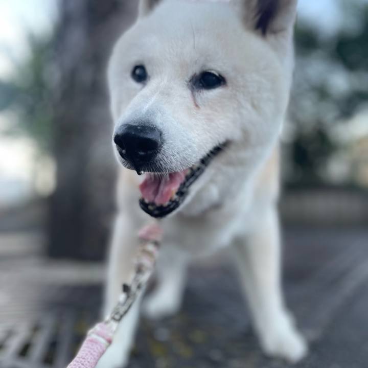 F4935050 04c0 44c2 9b35 f70e2fbca308 1756764632999