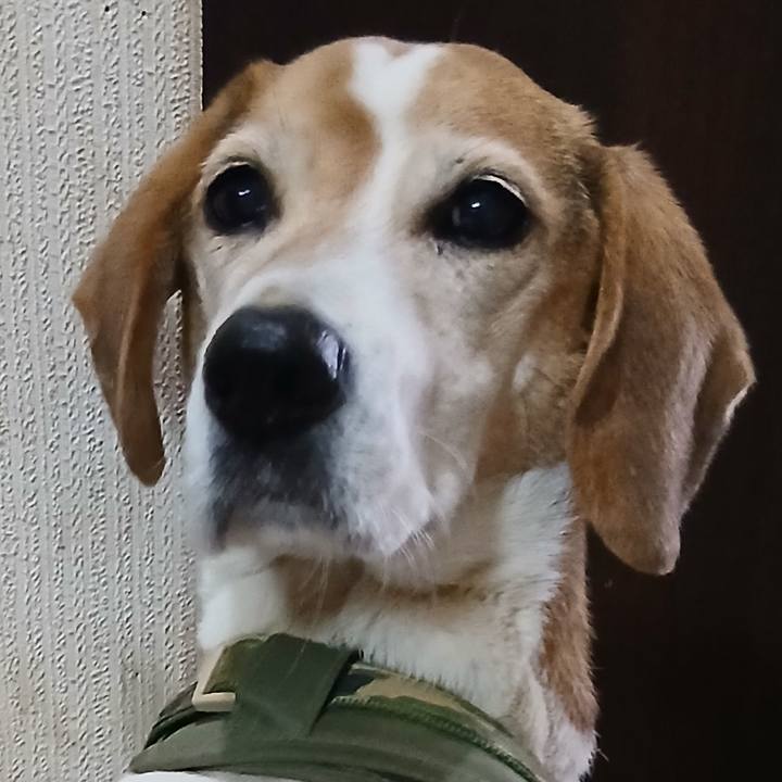 F4935eda 9e3d 4a67 9e12 0cee298e1e9c 1770376548444