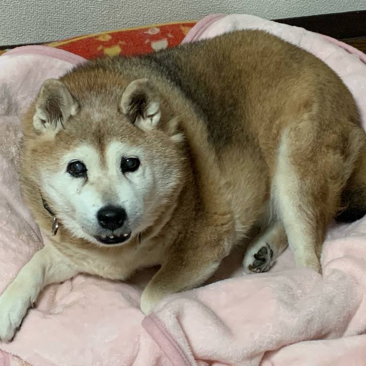 F4936b3b b5c6 4480 887a 6608f7c8f00f 1638611907295