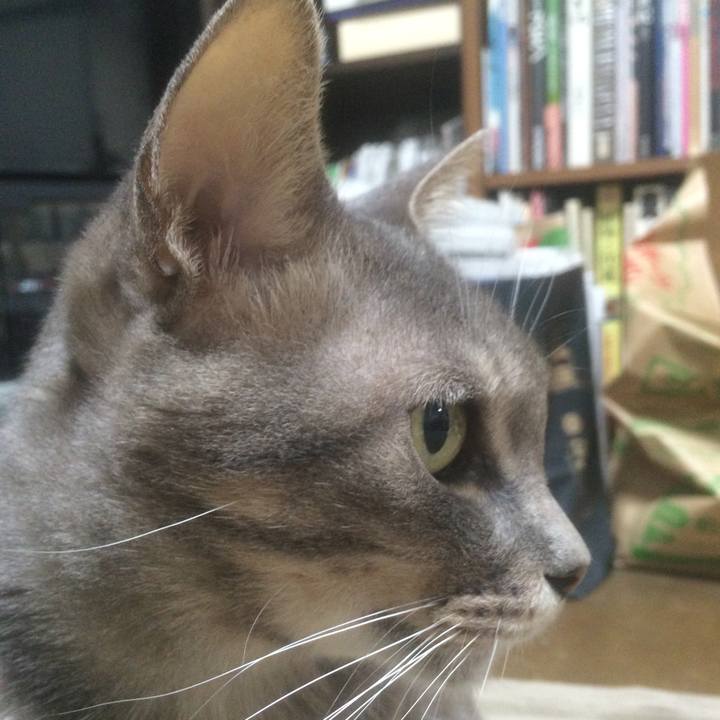 F4936f3a b86d 4af3 9696 f29a27f3aede 1540305252241