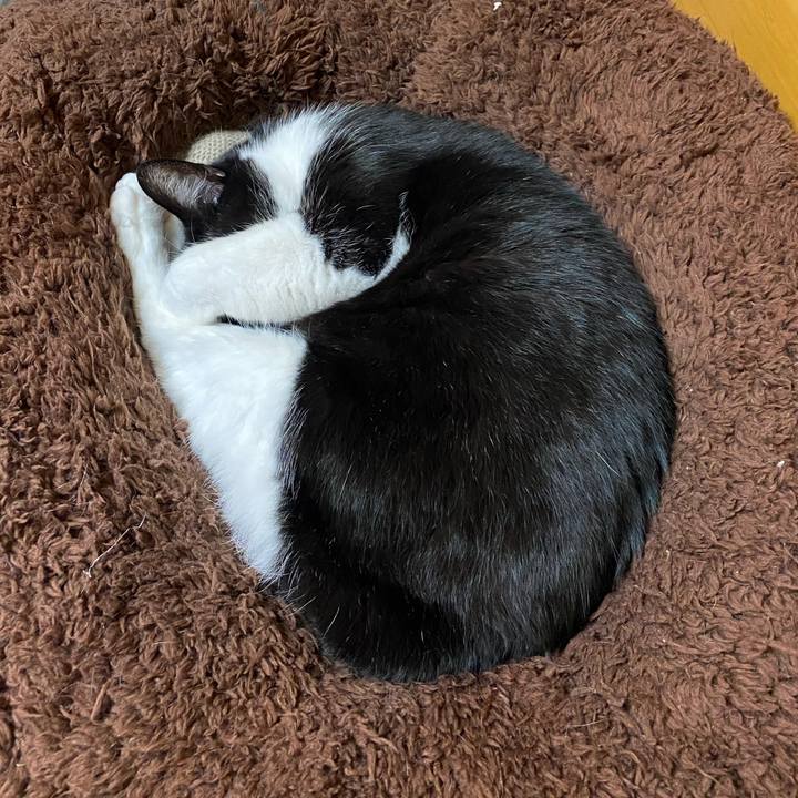 F493891e 89c5 4e3f 965c 23e2c9d71d4e 1704719324725