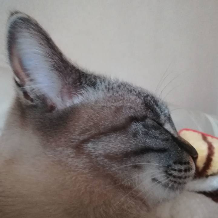 F493c40c 7a49 4847 aba5 3bf31ee0ddbf 1524204940596