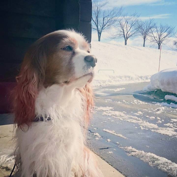 F493d11d 2788 4c5c 9956 811598934c14 1515909798178