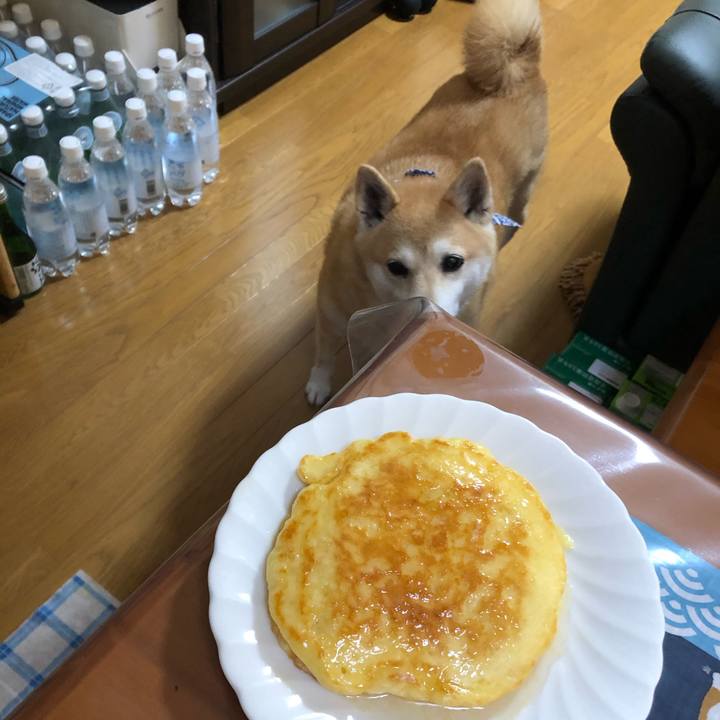 F493db44 9e37 4b4b 95d2 bb7cee5ea486 1598701755650