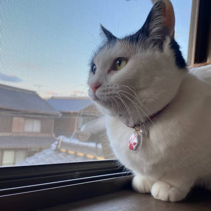 F49405bd c1b5 46cc aba6 873f23f41b21 1645696345053