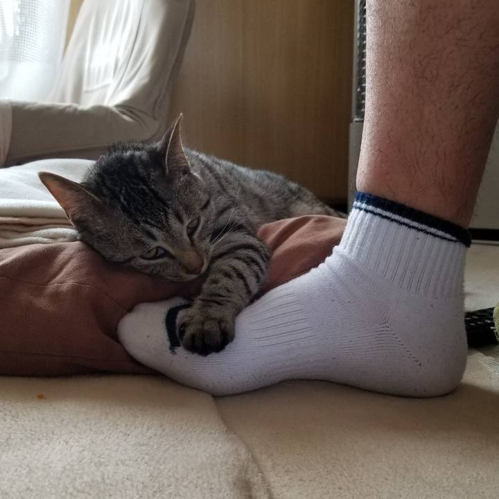 F49484e7 dac3 4596 ab66 af404dfab377 1680093500383