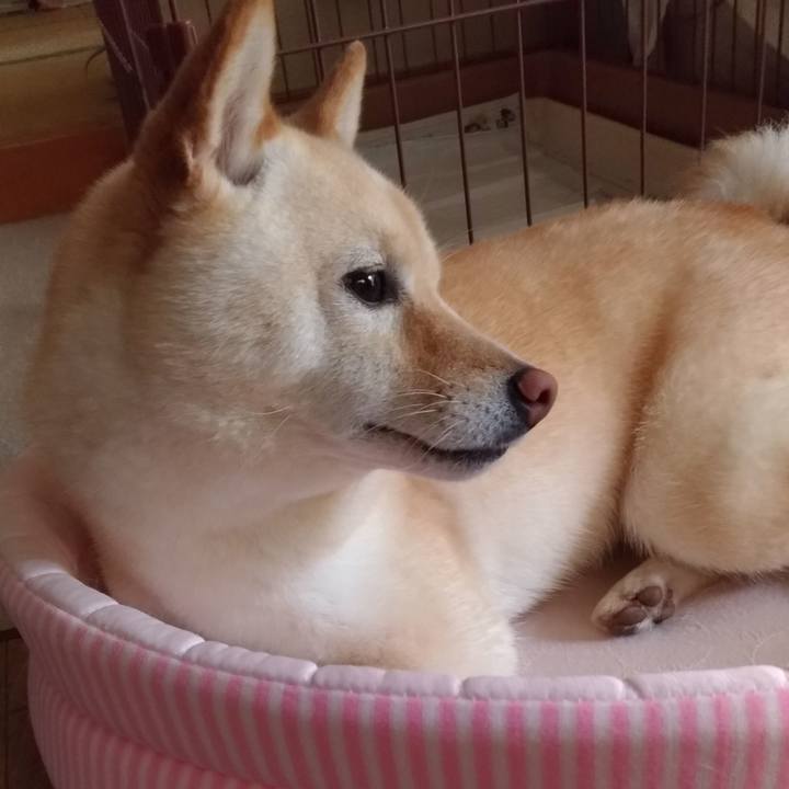 F49497d5 7af4 4369 b122 3c449b5d7132 1592265386505