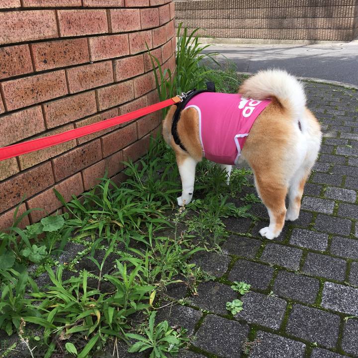 F494bfbe 6d76 4a79 b472 56e2dd0a8237 1594520950361