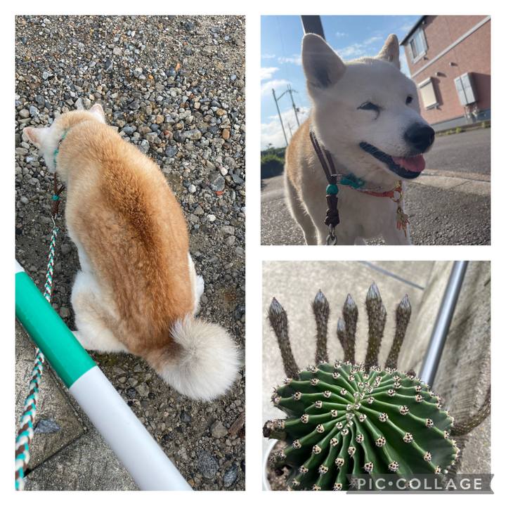 F494f062 fe3b 41e4 8185 5fac350d345e 1686144386759