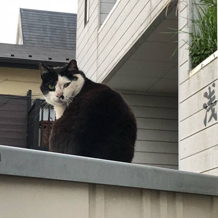 F494f600 a55b 47a2 a725 69e654973ebd 1528384162710