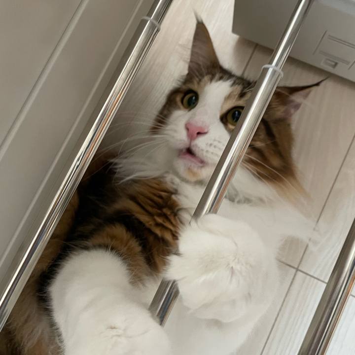 F4952baf 9ec8 4d27 a91d edc38083f78b 1653775773653