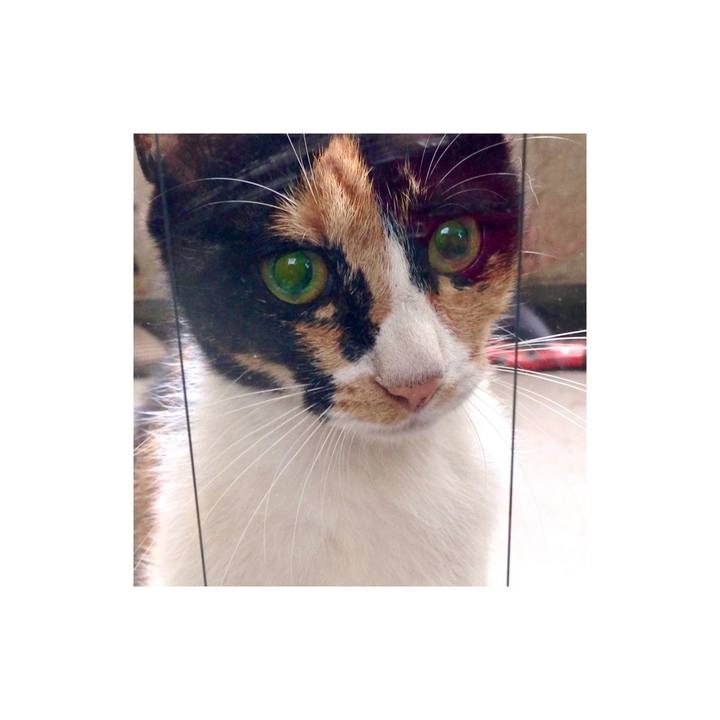 F4954c55 e0a3 4444 b0cb f42214859efb 1616316317106