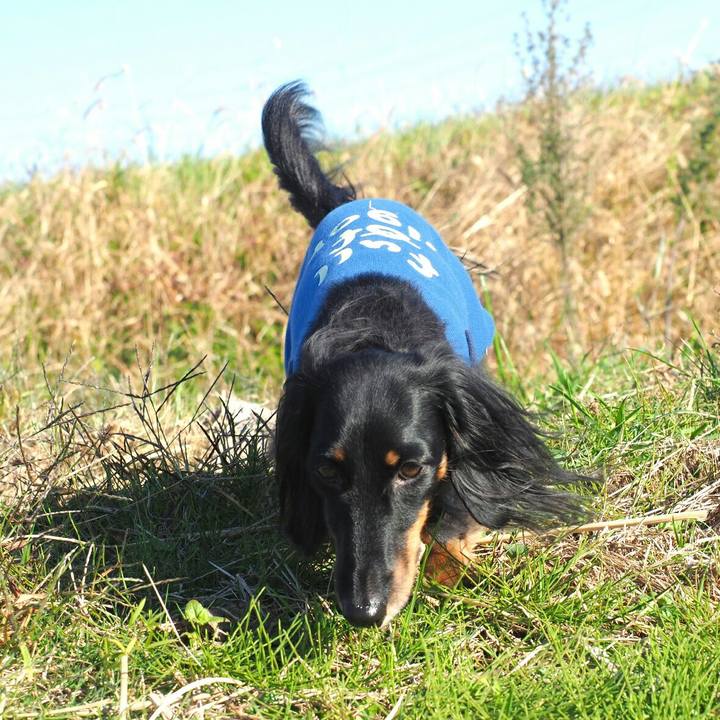 F495693b 2b42 45f2 8cf6 e15647549b2f 1574488967147