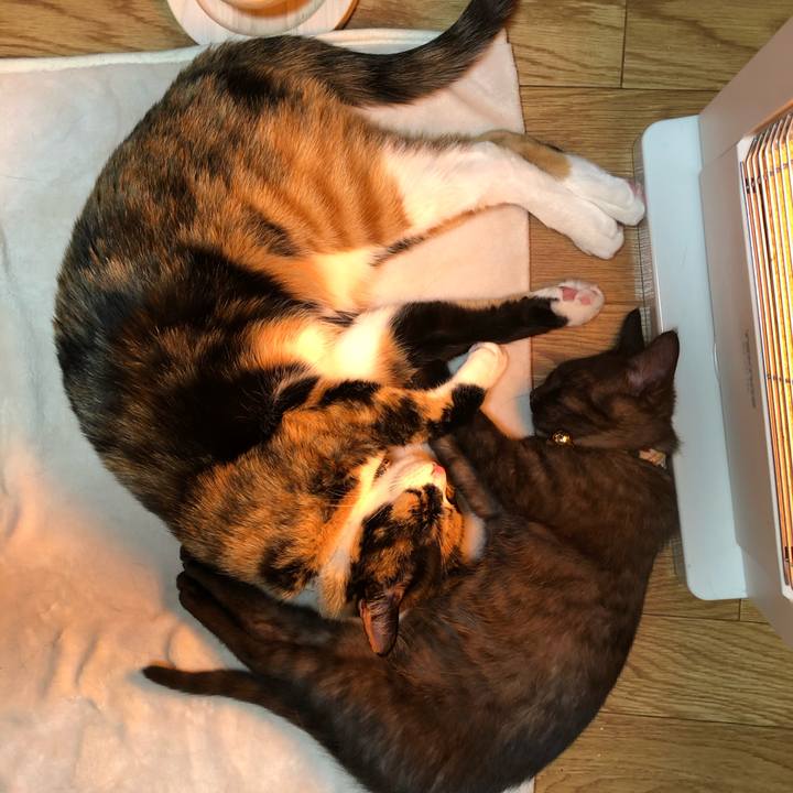 F49575f6 9a6f 4cd2 b3f1 b8ca923dcd38 1610043407899