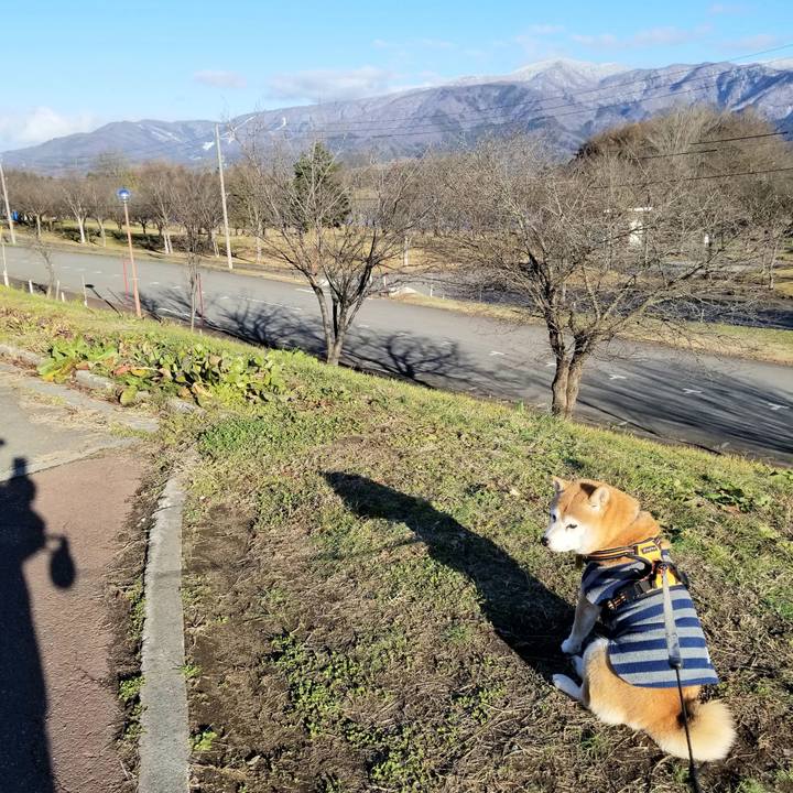 F495a4e2 5b6a 40a3 883a 15521cf1d24b 1638424391087