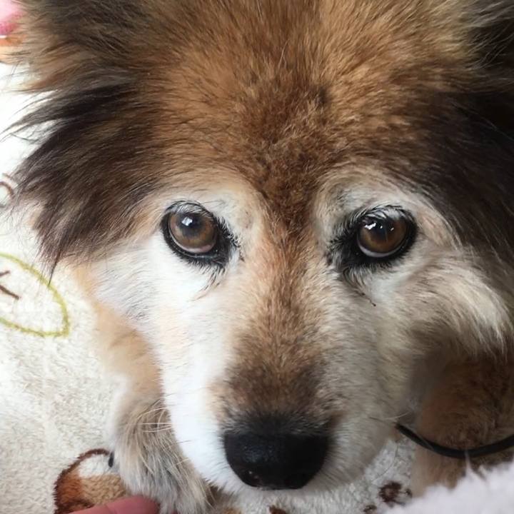 F495e4b6 3b72 4272 b331 7161935a7dba 1565352279144