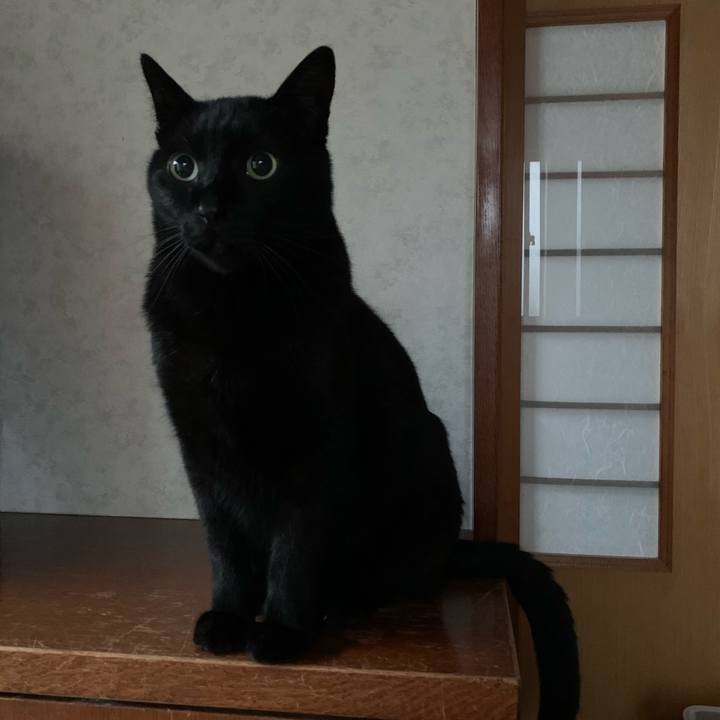 F495f3e9 1f4f 457b 9d2d e604254ea5ee 1579743344997