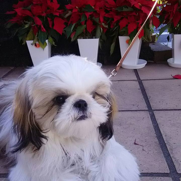 F495fa75 7ac1 4c0f ae89 6cf9b627fa57 1544932792350