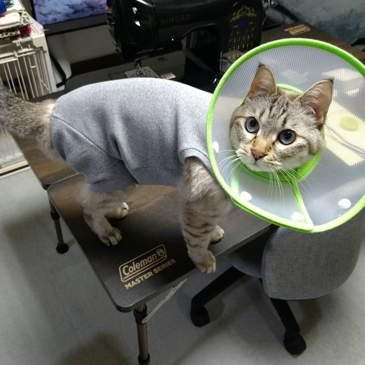 F4960a02 a659 4f3f a4ce 7c7a36b539ac 1736866492937