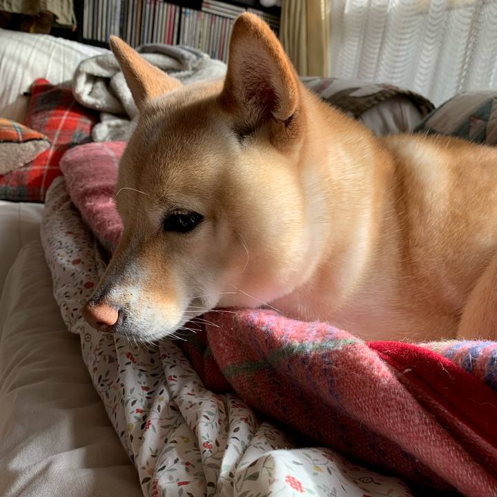 F49612f8 d719 454c b587 2f8350550939 1643508886216