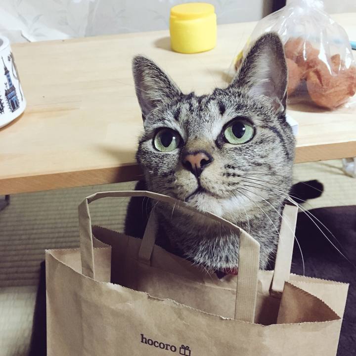 F4961fb3 e813 4469 9cc2 e499d972846f 1540554903479