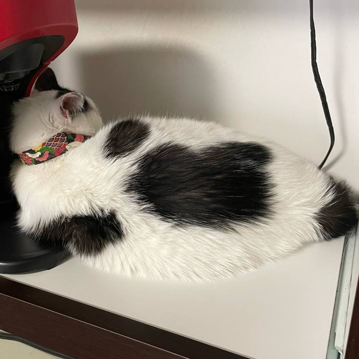 F496553a 14c3 4dee 82ba eafb0f59354c 1635305907752