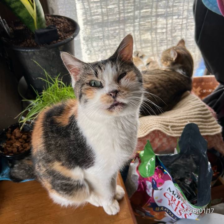 F4965cf1 1acb 4515 86ff 93e581a3194e 1768618528782