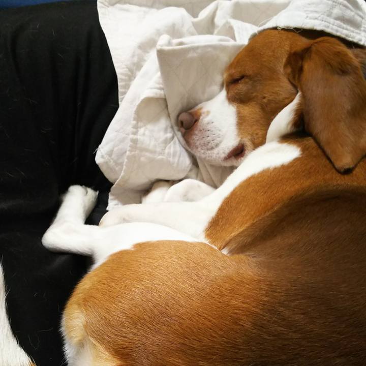 F4966442 0c77 4c7b bc76 f019ca5c4934 1584875326972