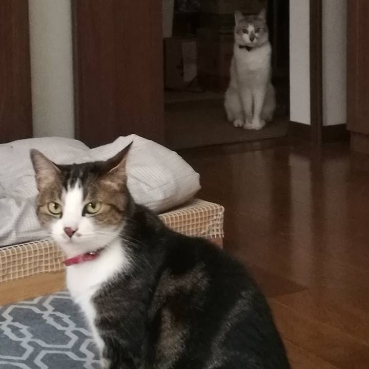 F496d4d0 102d 45b7 bae9 ffb5e65686e1 1526801997809