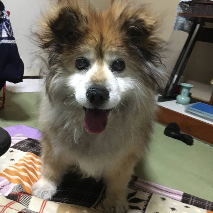 F496d6ec e1ca 42e5 a1ad eaeff3f4a00f 1598776404970