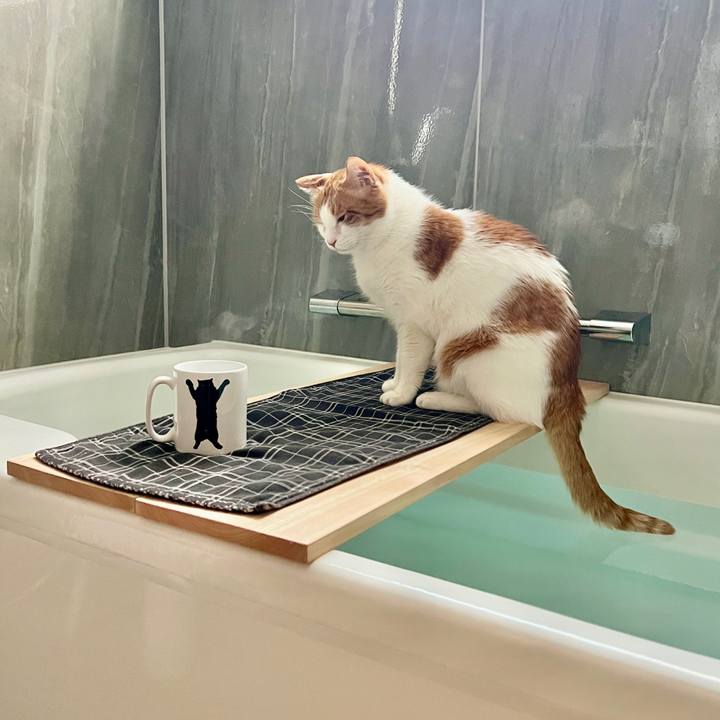 F496ec69 11f4 4ecb adf2 1046aba079c4 1763081363191