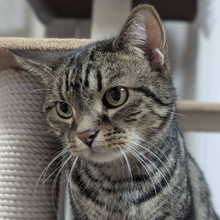 F4970283 9b26 4c47 be0a 3d75513f527b 1753017848385