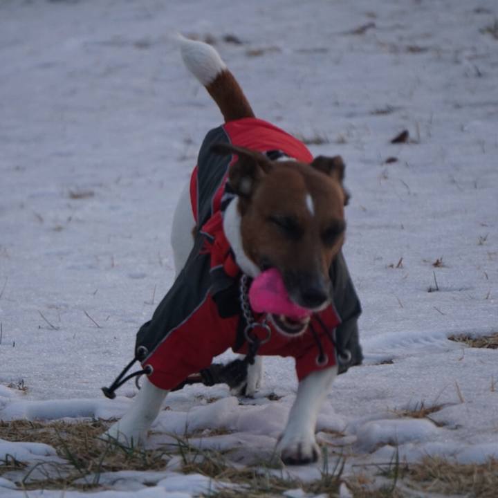 F4972f2e b2ce 4875 aa28 90abdd373151 1517612177496