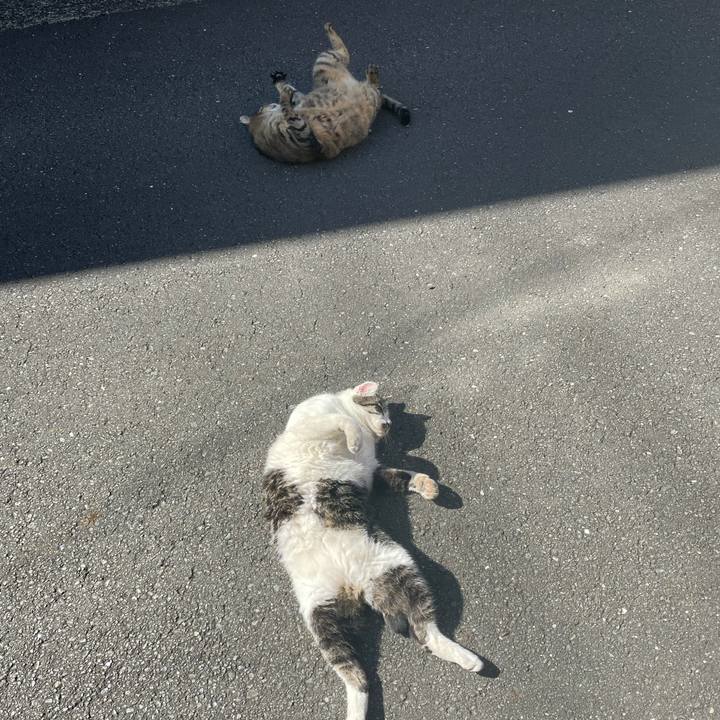 F4974735 37da 4ef1 b161 f48999d422f8 1636771970991