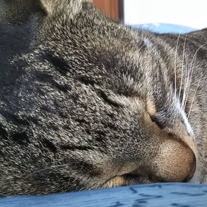 F4977383 90fb 4028 9e57 7cb205238e7a 1608909183720